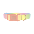 Pastel Gradient Dog Collar - plastic rose gold