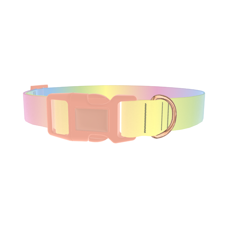 Pastel Gradient Dog Collar - plastic rose gold