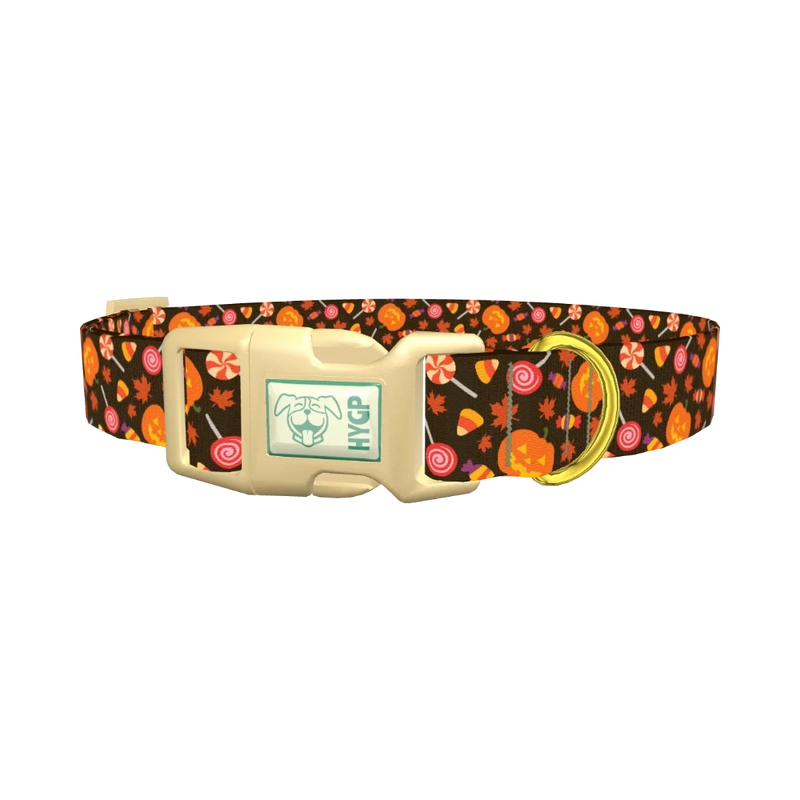 Halloween Candy Pumpkin Dog Collar - plastic gold