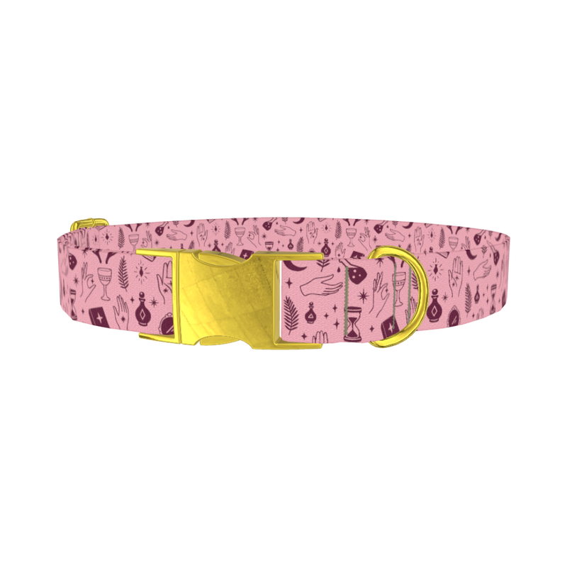 Halloween Palmistry Dog Collar - metal gold