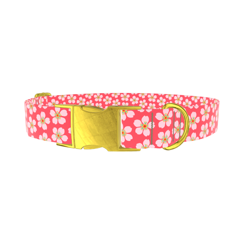 Sakura Floral Dog Collar - metal gold