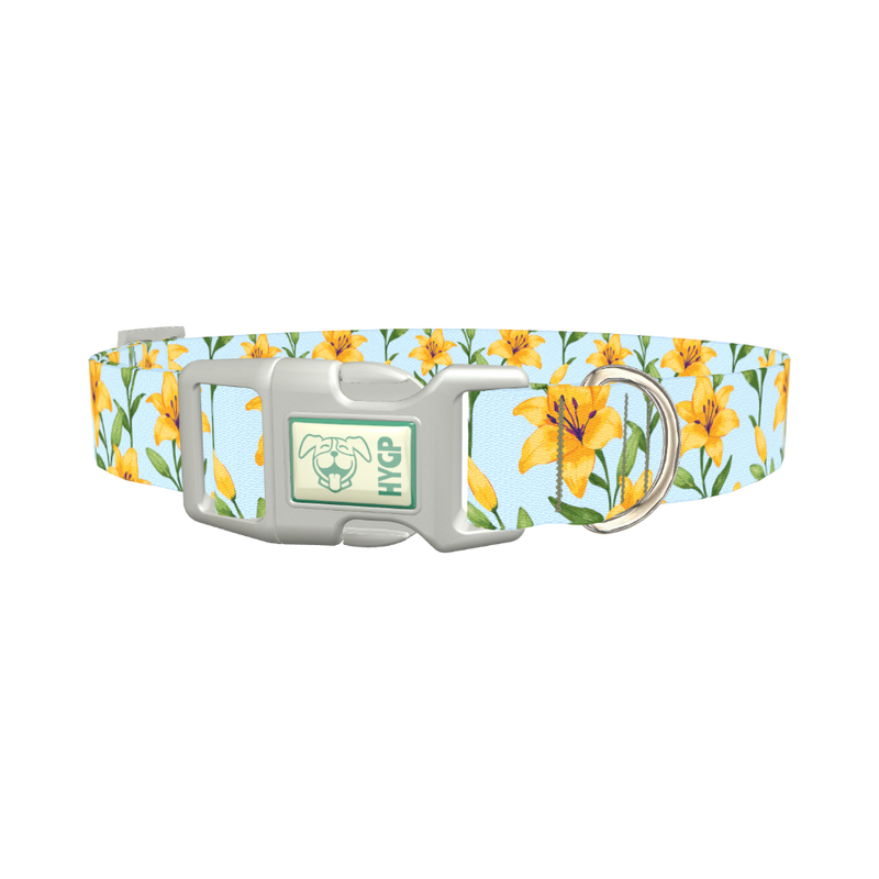 Floral Yellow Lily Dog Collar - plastic silver