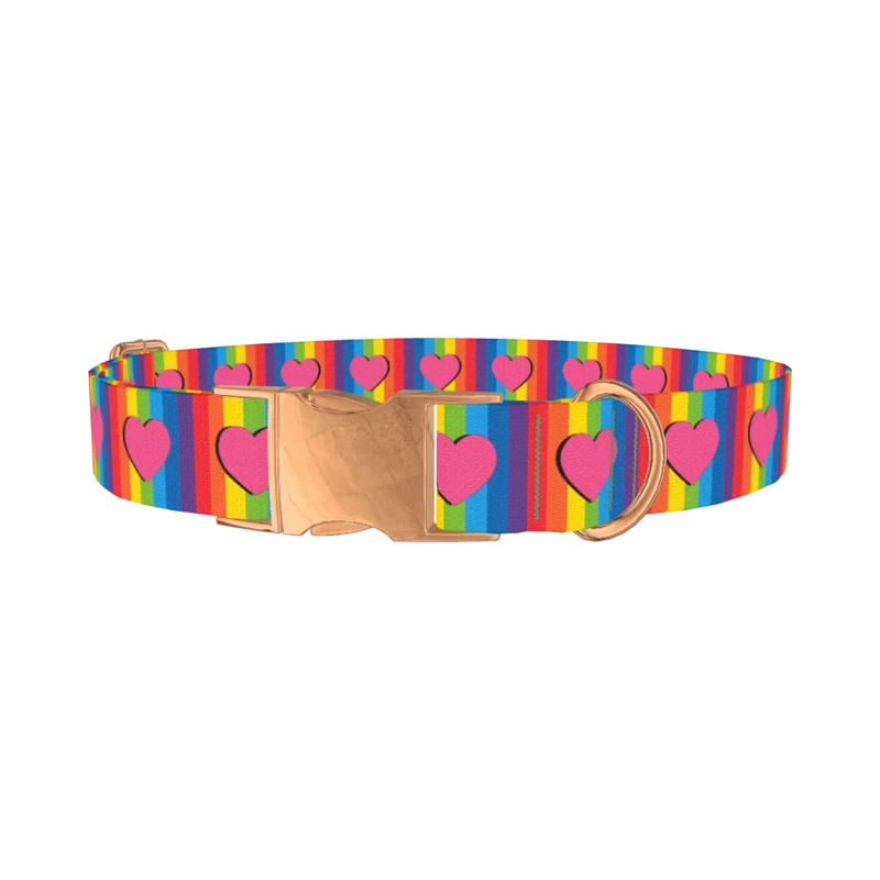 Rainbow Heart Dog Collar - metal rose gold