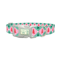 Geometric Pink Green Tree Dog Collar - plastic silver
