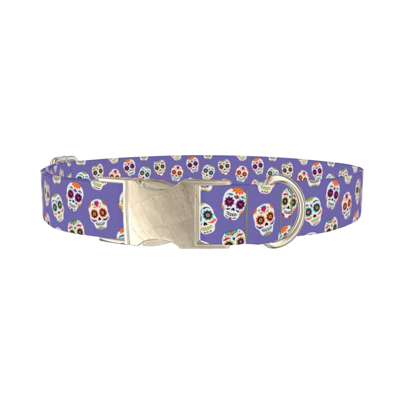 Calavera Skull Dog Collar - metal silver