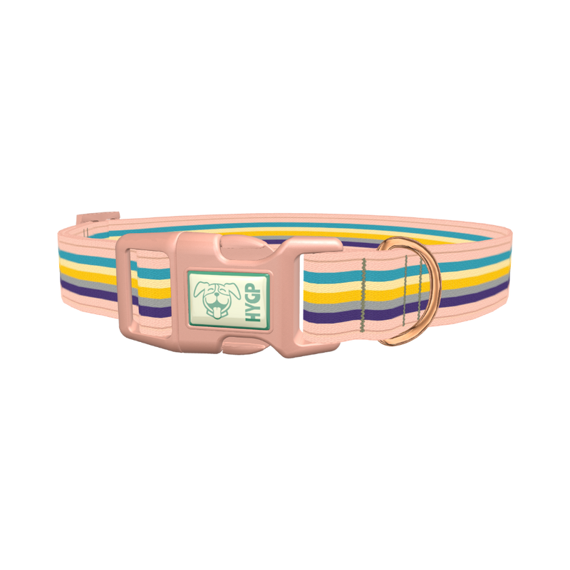 Multicolor Stripes Dog Collar - plastic rose gold