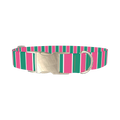 Pink and Green Stripe Dog Collar - metal silver