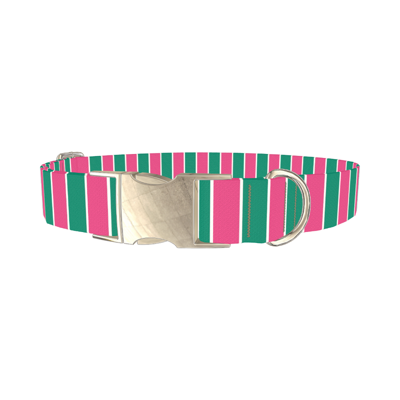 Pink and Green Stripe Dog Collar - metal silver