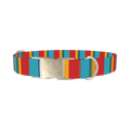 Red Turquoise Stripe Dog Collar - metal silver