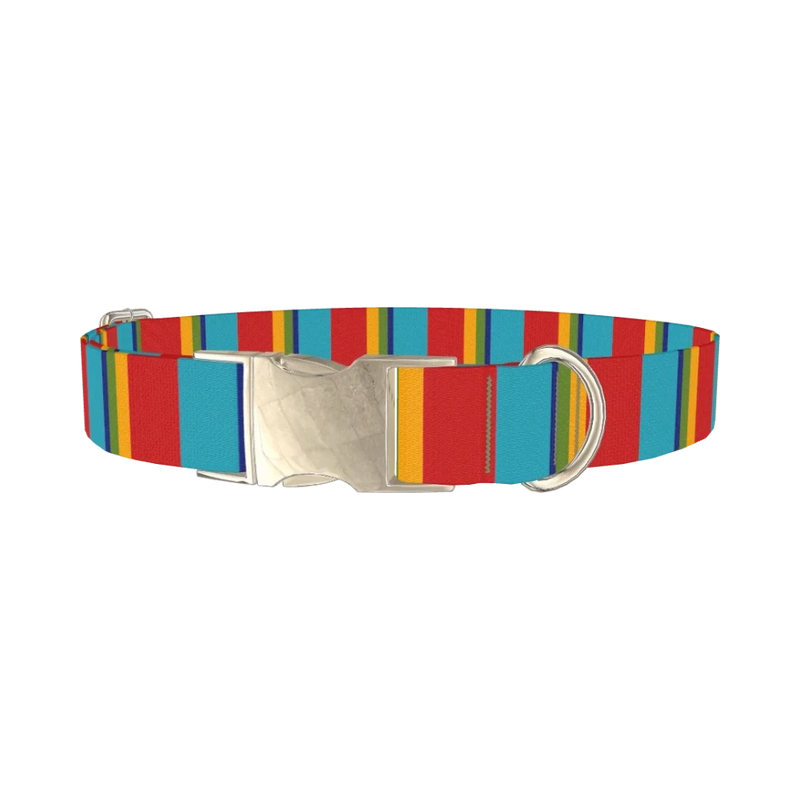 Red Turquoise Stripe Dog Collar - metal silver