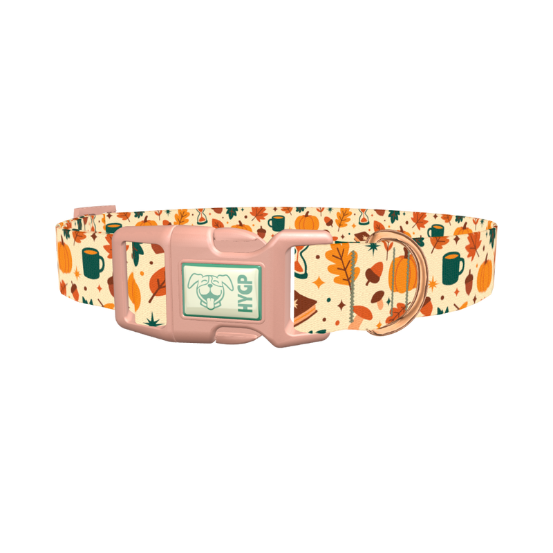 Cozy Fall Dog Collar - plastic rose gold