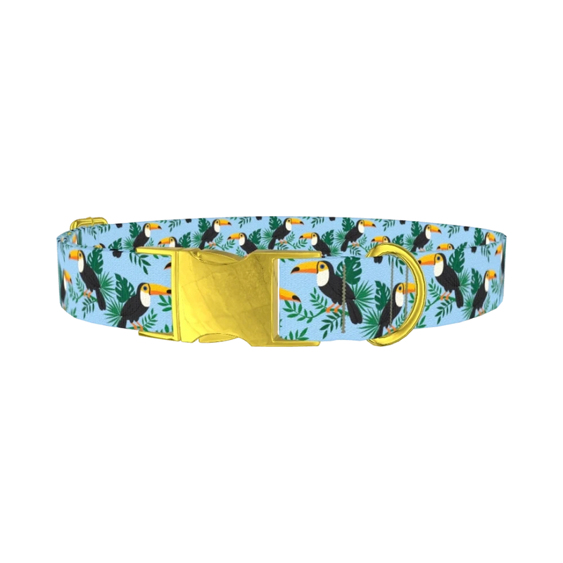 Tropical Toucan Dog Collar - metal gold