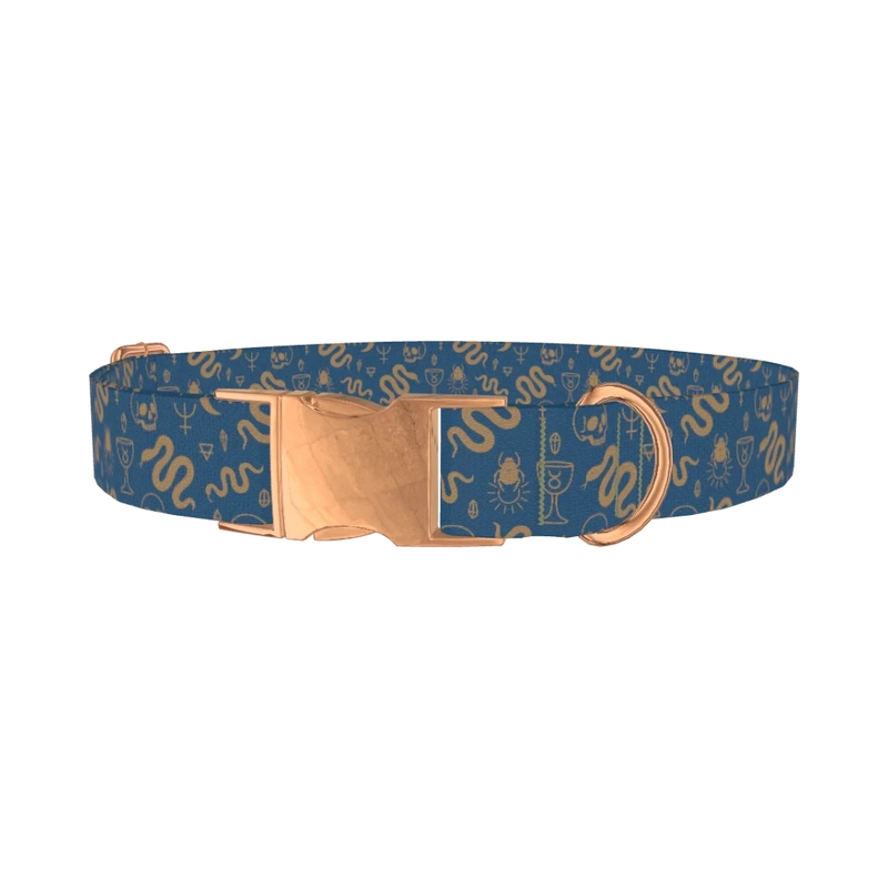 Halloween Snakes and Skulls Dog Collar - metal rose gold