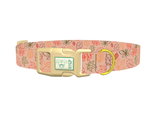 Autumn Leaves Dog Collar