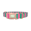 Pink and Green Stripe Dog Collar - plastic rose gold