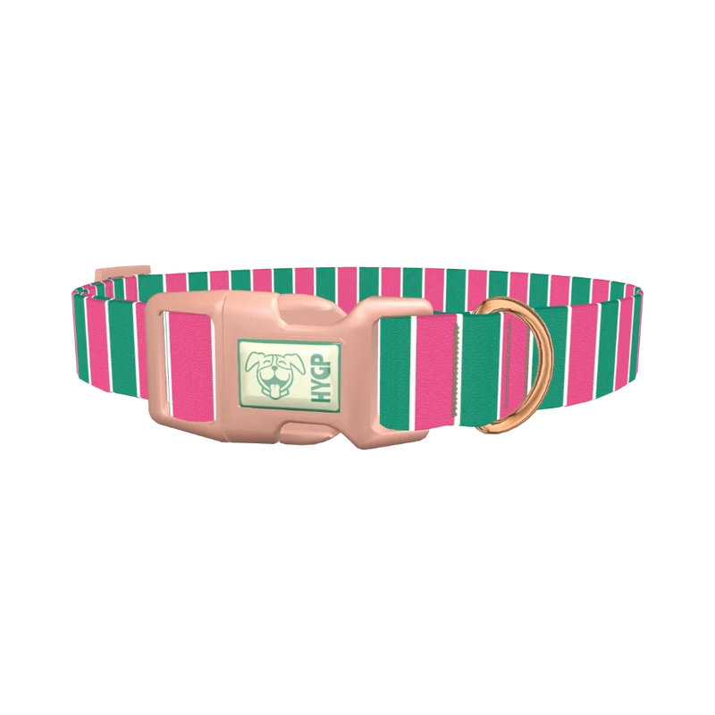 Pink and Green Stripe Dog Collar - plastic rose gold