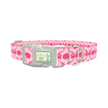Halloween Pink Pumpkin Dog Collar - plastic silver
