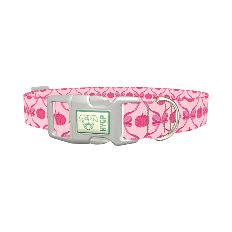 Halloween Pink Pumpkin Dog Collar - plastic silver