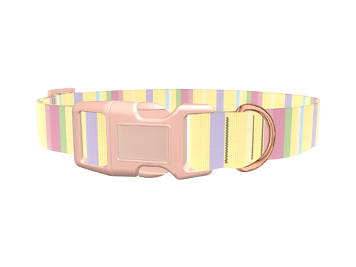 Pastel Stripe Dog Collar