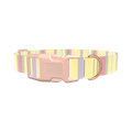 Pastel Stripe Dog Collar - plastic gold