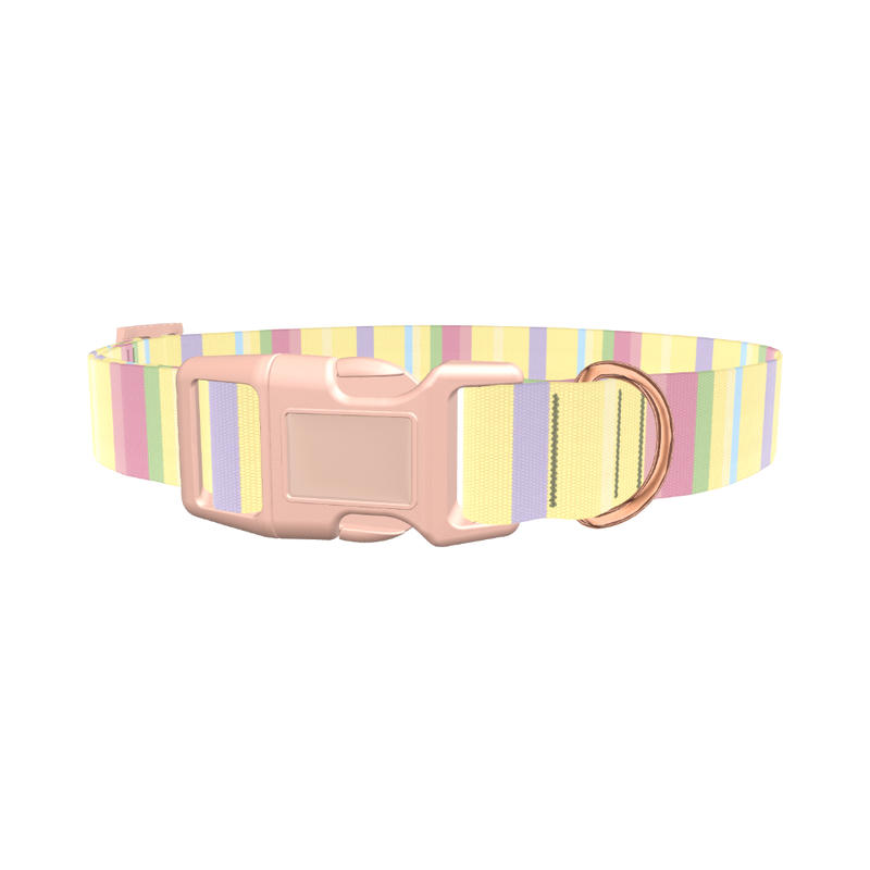 Pastel Stripe Dog Collar - plastic gold