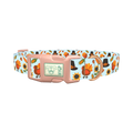 Thanksgiving Turkey Dog Collar - plastic rose gold