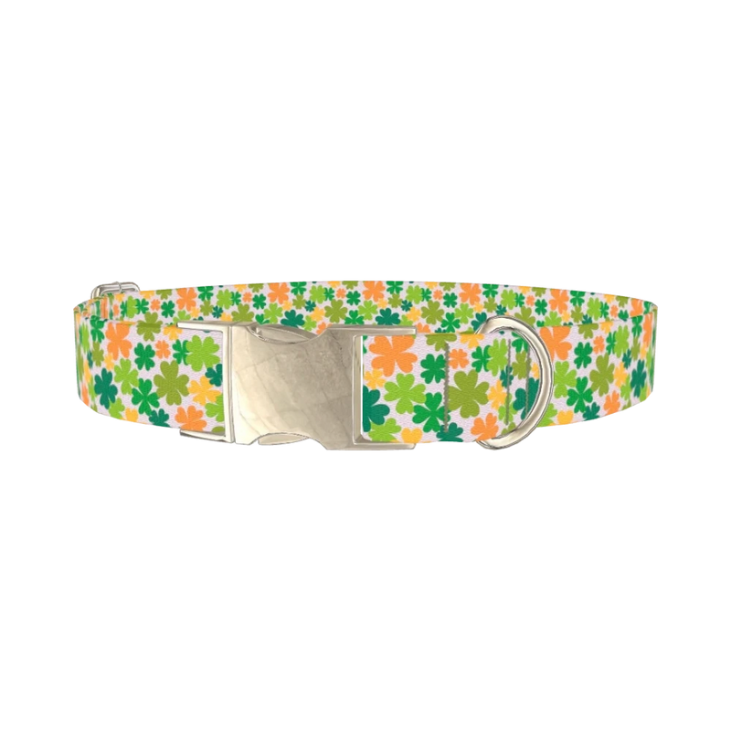 Multicolor Clover Dog Collar - metal silver