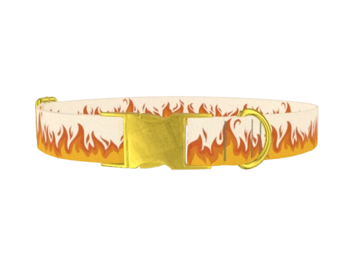 FUN_4_Fire4