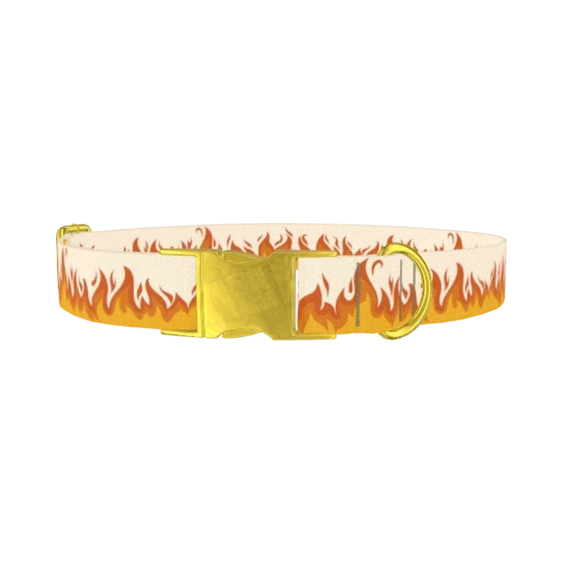 Fire Flame Dog Collar - metal gold