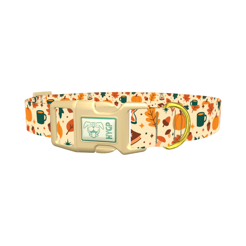 Cozy Fall Dog Collar - plastic gold