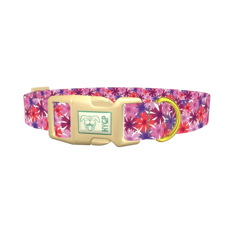 Colorful Cornflower Dog Collar - plastic gold