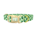 Pickle Jar Dog Collar - plastic gold