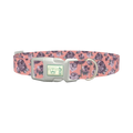 Pastel Rose Bouquet Dog Collar - plastic silver