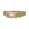 Moss Green Heart Dog Collar - plastic rose gold
