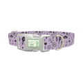 Halloween Witchy Mirror Dog Collar - plastic silver