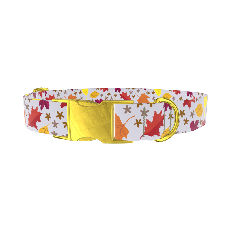 Colorful Fall Leaf Dog Collar - metal gold