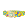Lemon Fruit Dog Collar - plastic gold