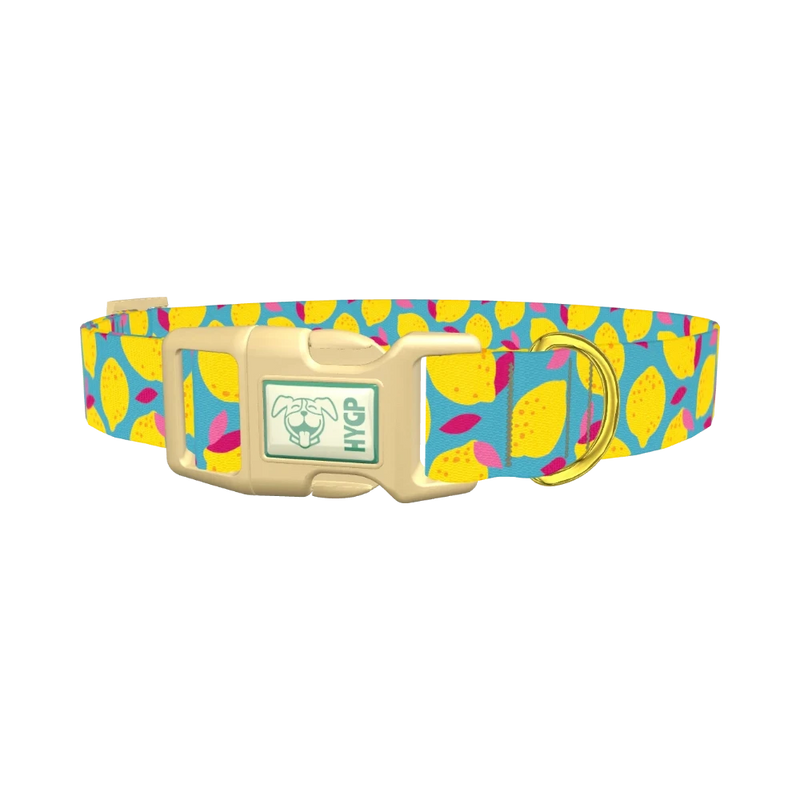 Lemon Fruit Dog Collar - plastic gold