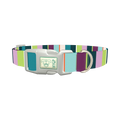 Striped Pattern Dog Collar - plastic silver