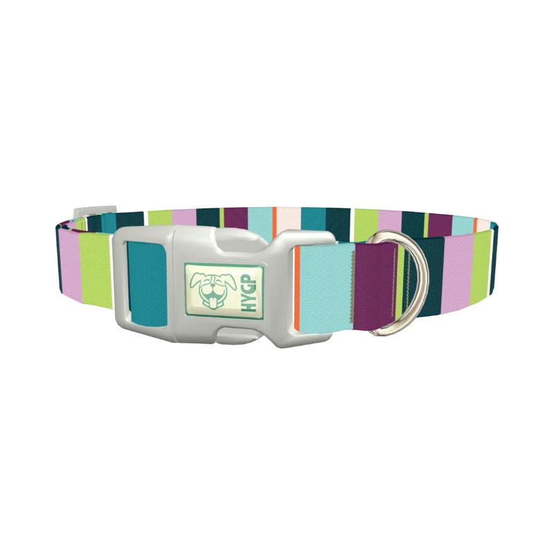 Striped Pattern Dog Collar - plastic silver