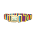 Yellow Purple Stripe Dog Collar - plastic gold