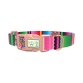 Mexican Floral Stripe Dog Collar - plastic rose gold