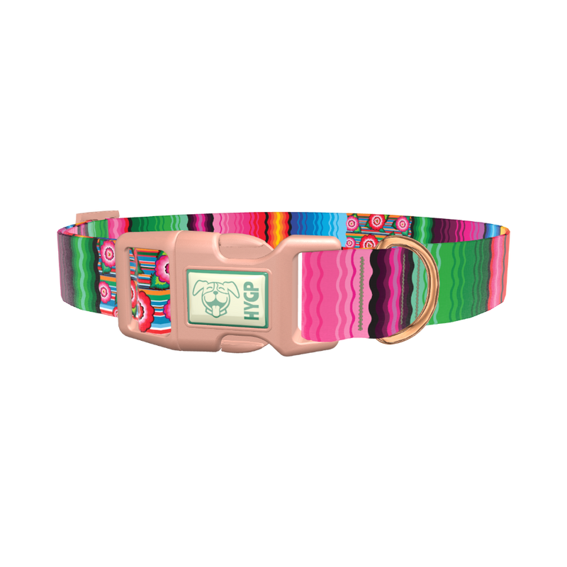 Mexican Floral Stripe Dog Collar - plastic rose gold