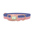 Patriotic Stars Dog Collar - plastic rose gold