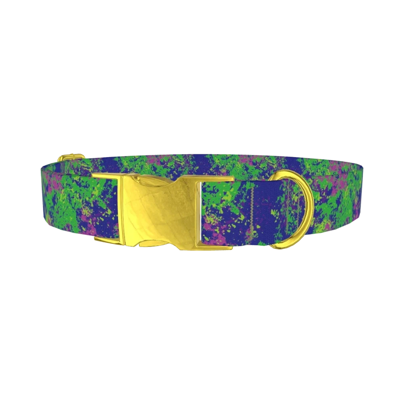Vibrant Splatter Dog Collar - metal gold