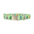 Dinosaur Cycling Dog Collar - metal silver