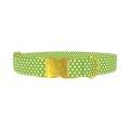 Lime Green Polka Dot Dog Collar - metal gold