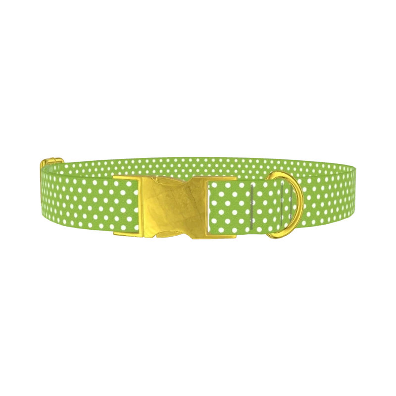 Lime Green Polka Dot Dog Collar - metal gold