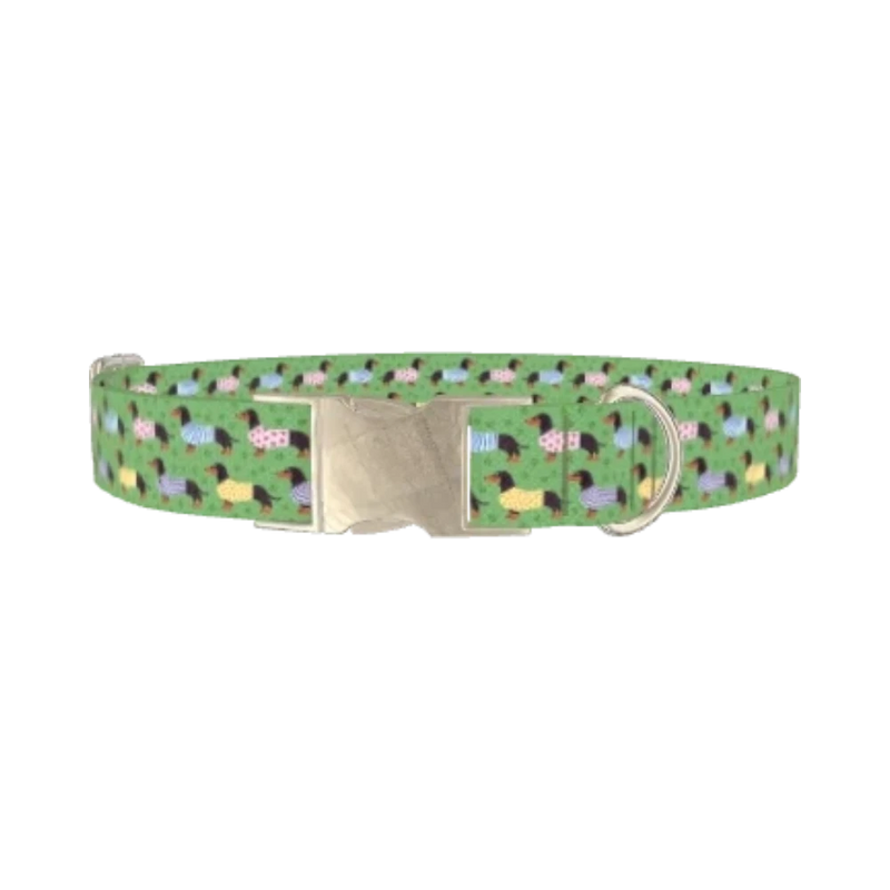 Green Dachshund Sweater Dog Collar - metal silver