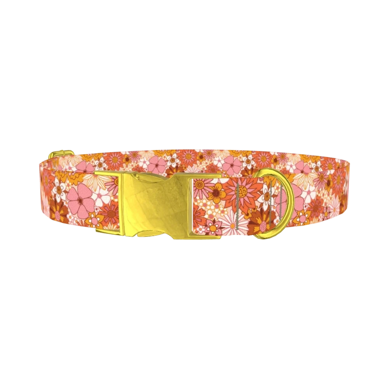 Retro Floral Burst Dog Collar - metal gold